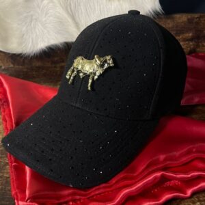 Gorra CapRanch v2